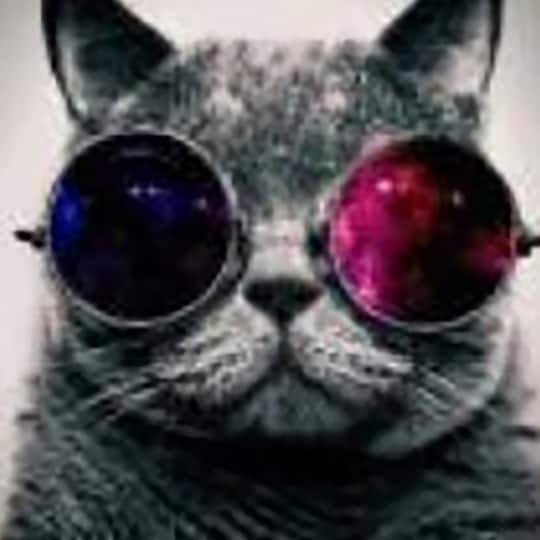 Sparkly Selections Cat in Sunglasses Diamond Art Kit